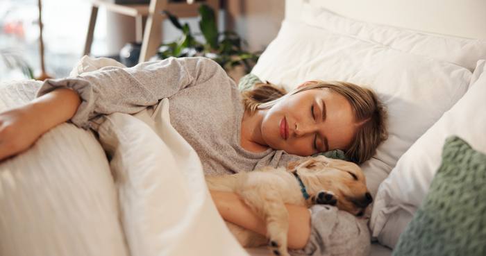 A woman asleep in bed in soft morning light, a dog curled up beside her.